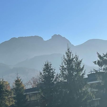 Apartamentylove - Apartament U Janicka, 100M Do Krupowek Zakopane Eksteriør billede