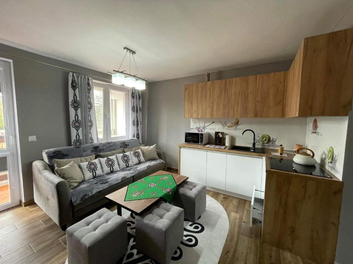Apartamentylove - Apartament U Janicka, 100M Do Krupowek Zakopane Eksteriør billede