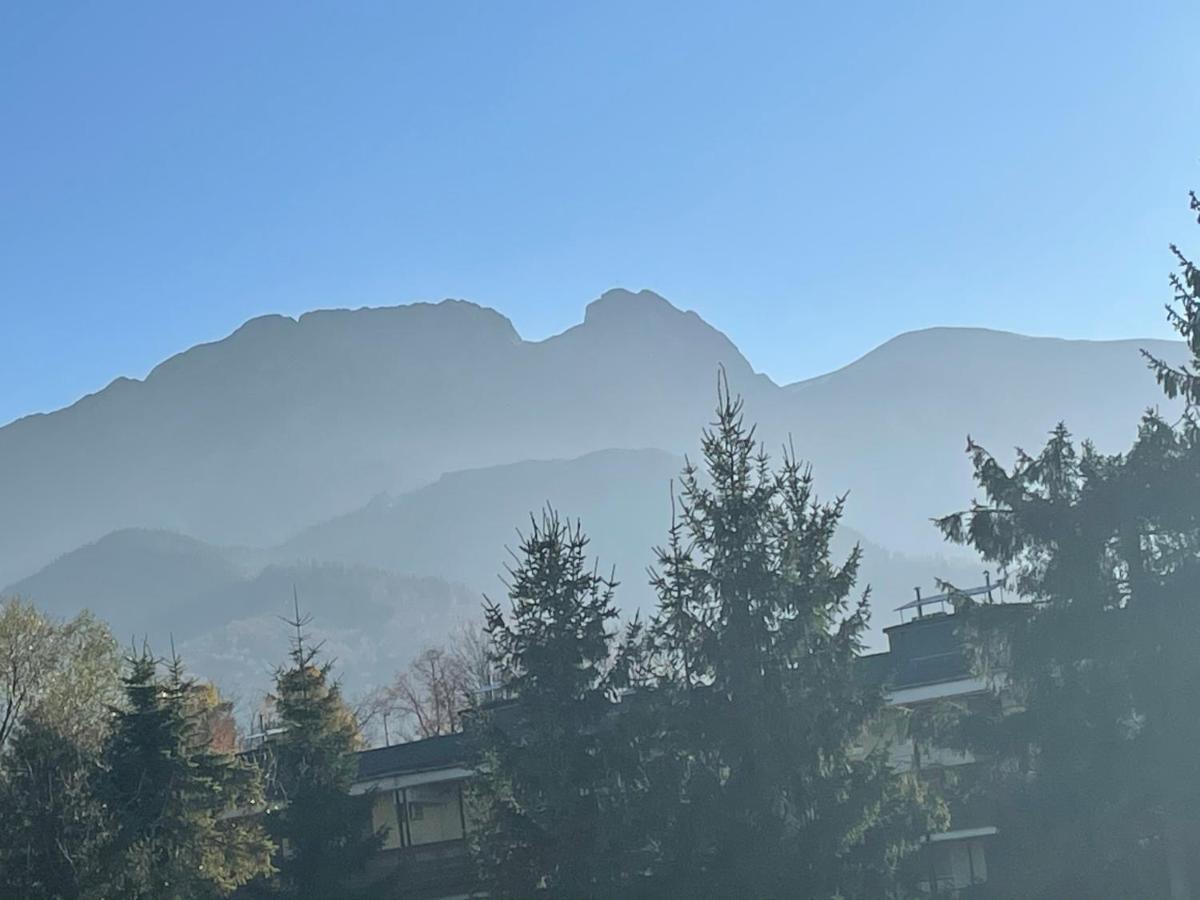 Apartamentylove - Apartament U Janicka, 100M Do Krupowek Zakopane Eksteriør billede